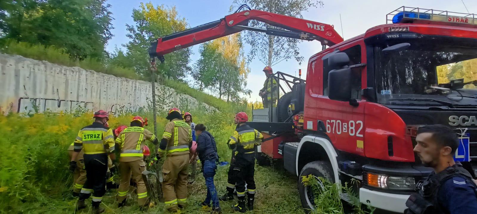 Koń wpadł do studzienki kanalizacyjnej