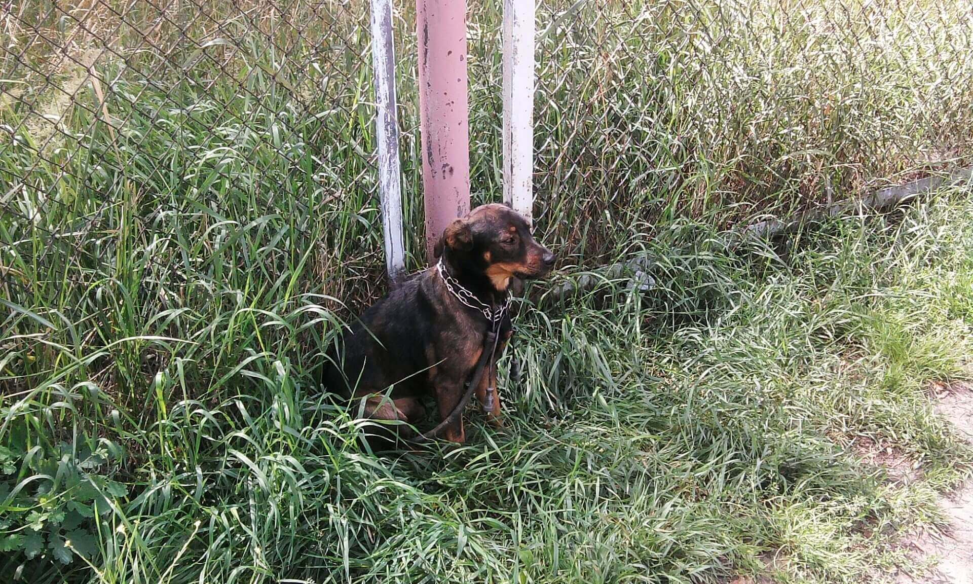 2740b6ea1c9985b0dc5c6f8505b85edc 2740b6ea1c9985b0dc5c6f8505b85edc