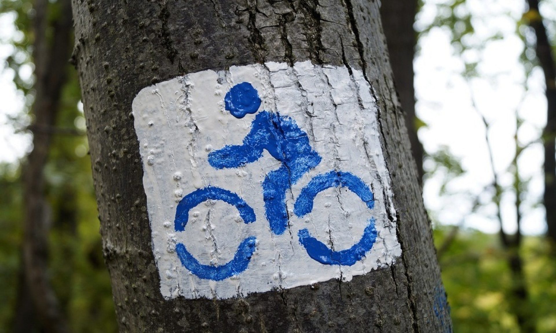 Bike 966771 1280 Bike 966771 1280