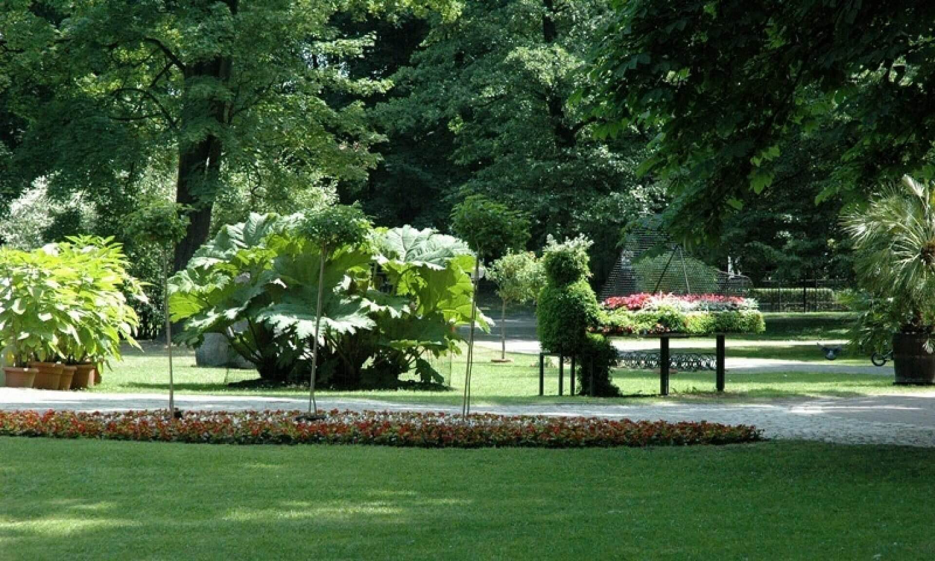Chopin gliwice Chopin gliwice