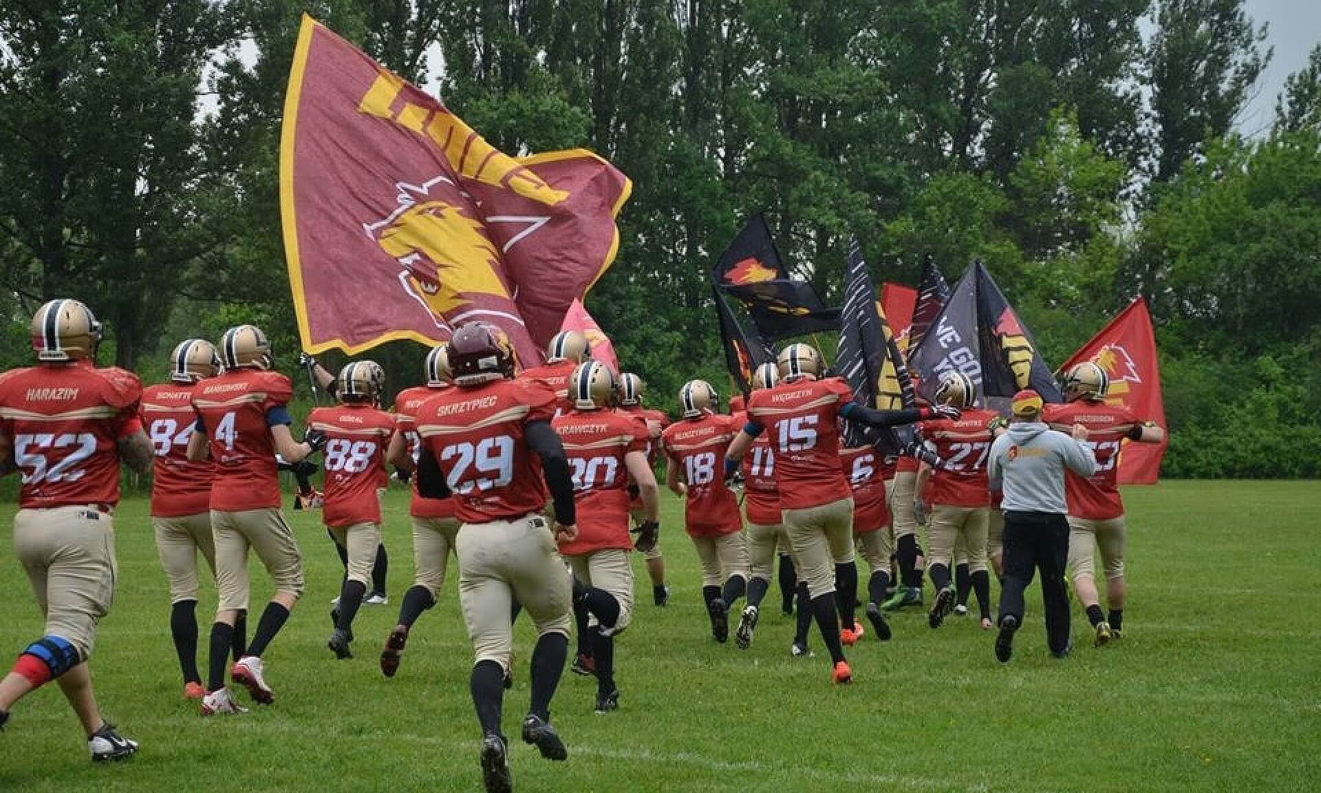 Lions Lions