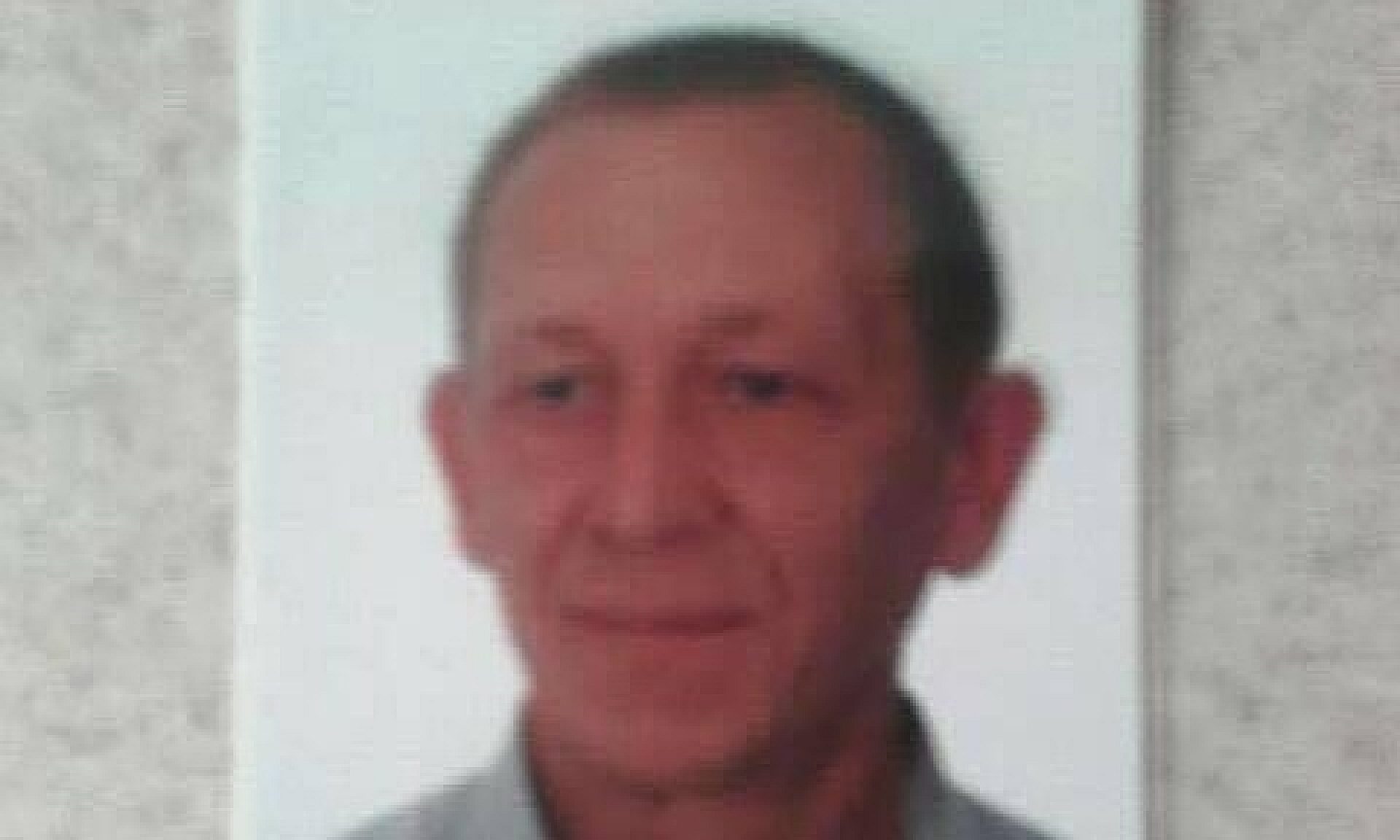 Witold pluta Witold pluta