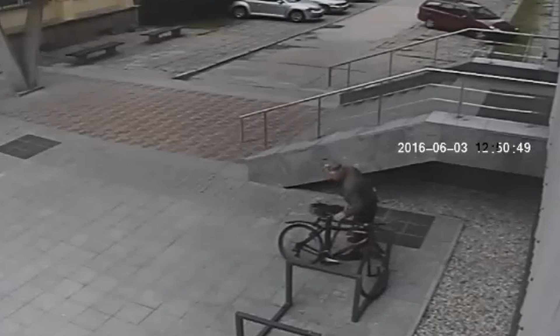 Zobacz nagranie z monitoringu Zobacz nagranie z monitoringu