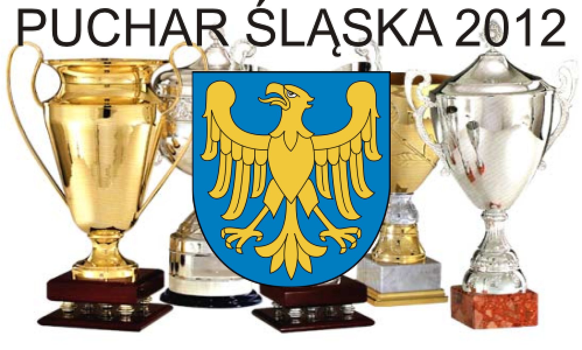 Pucharslaska Pucharslaska