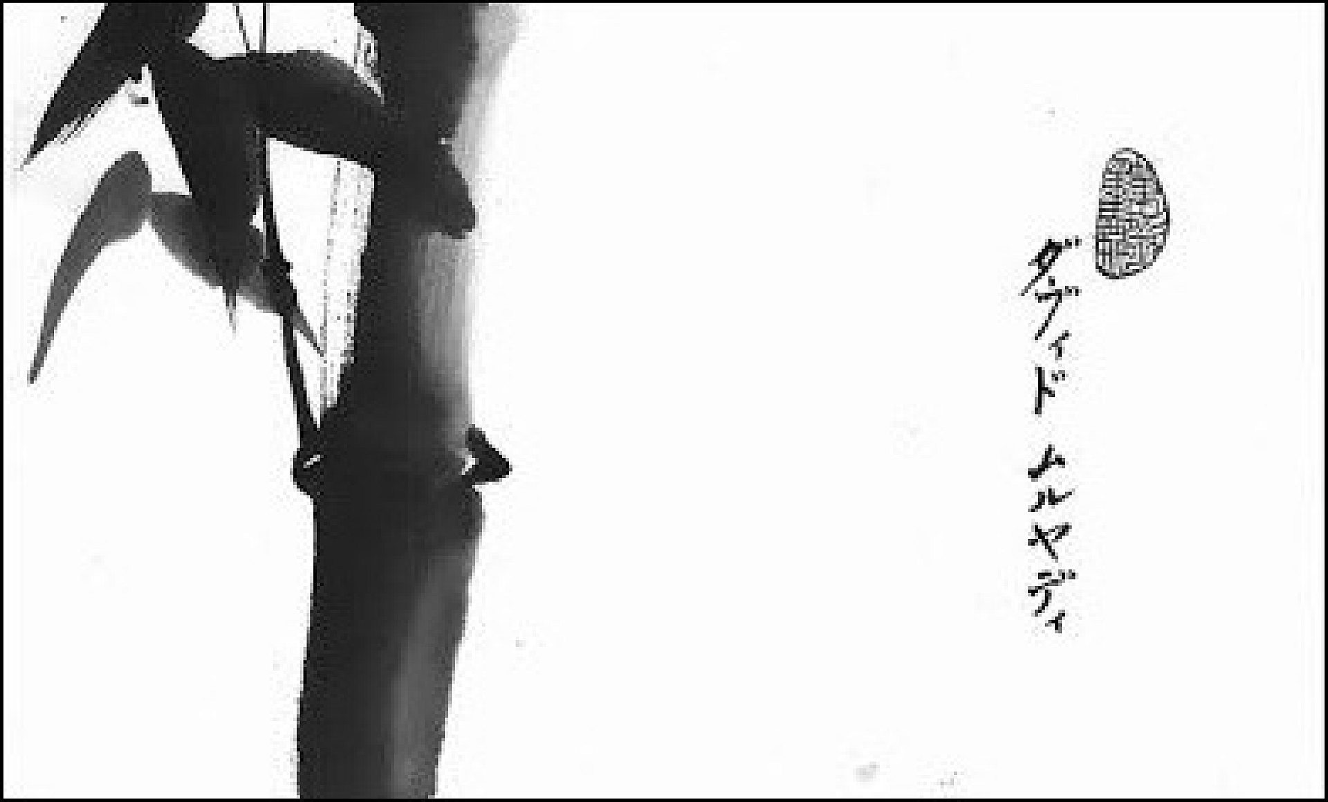 Sumi Sumi