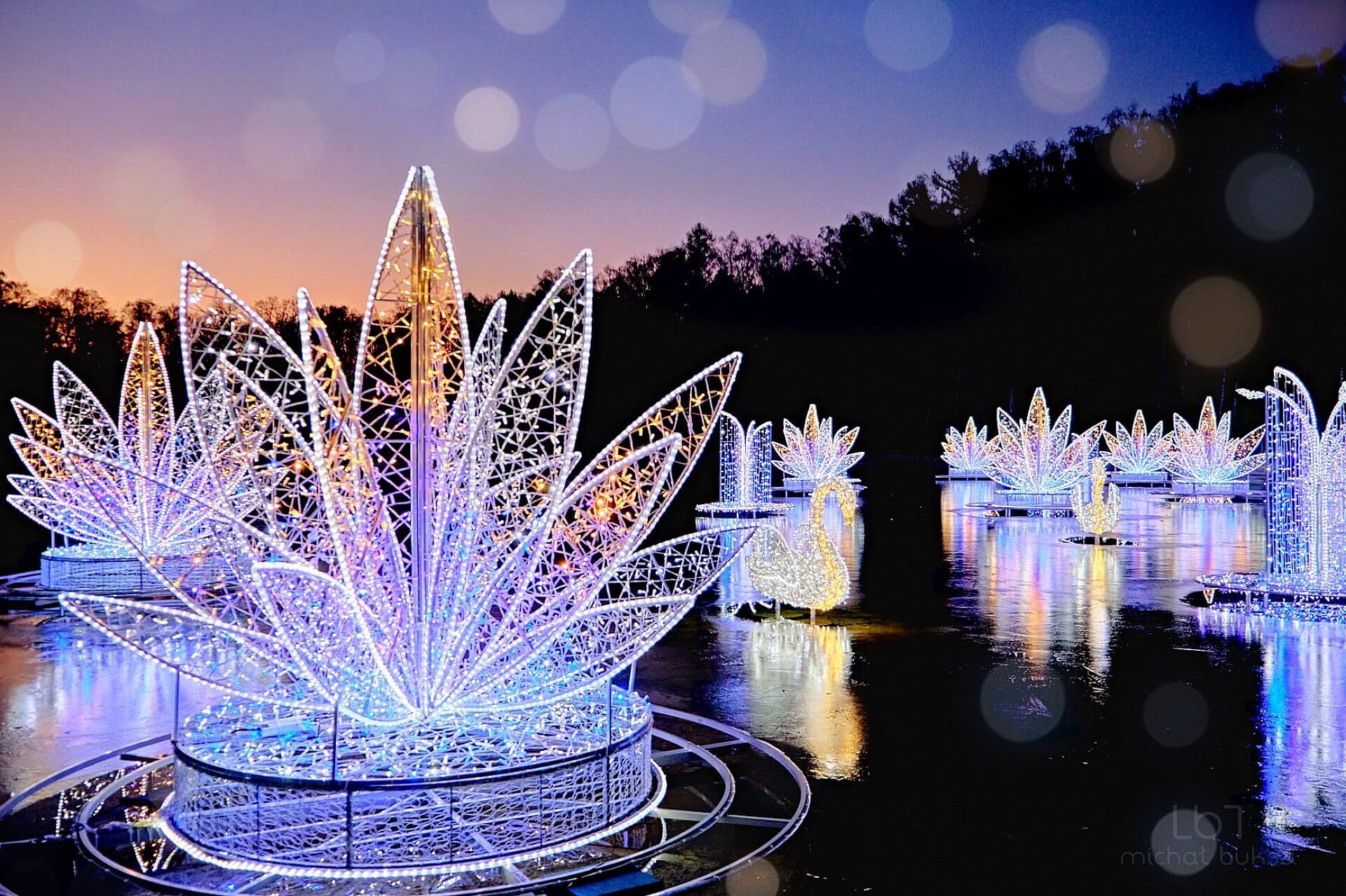 Park Miliona Świateł Park Miliona Świateł