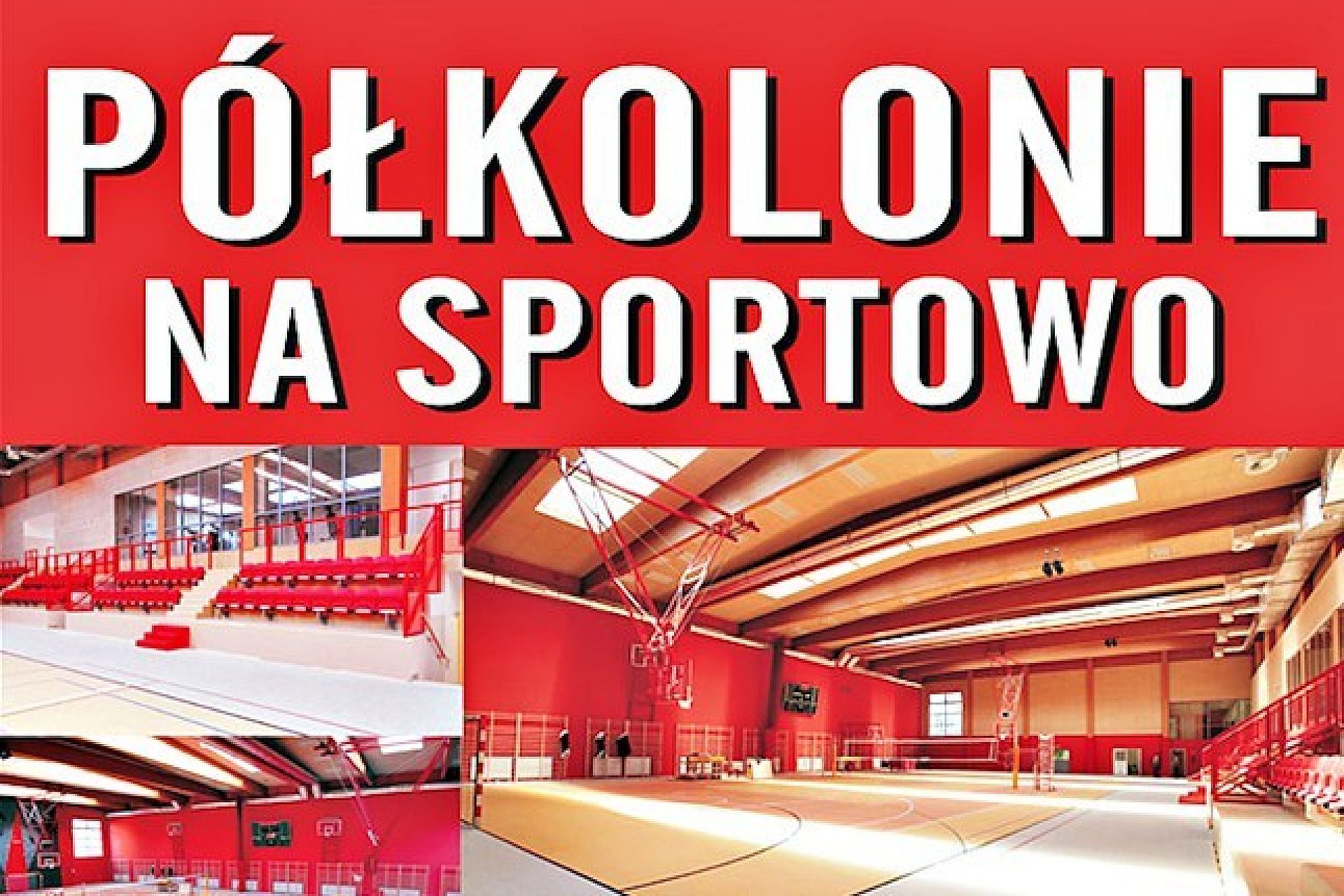 Polkolonie gliwice Polkolonie gliwice