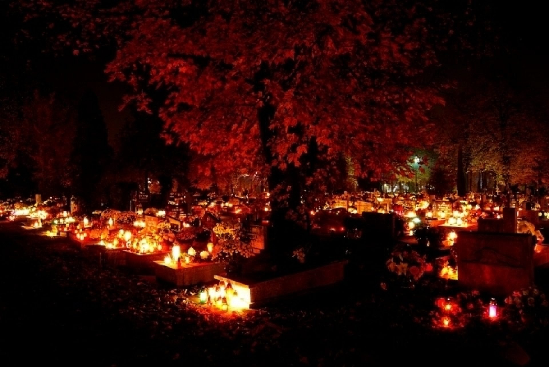 56f9425837efc4d90ad0006be3e16952 56f9425837efc4d90ad0006be3e16952