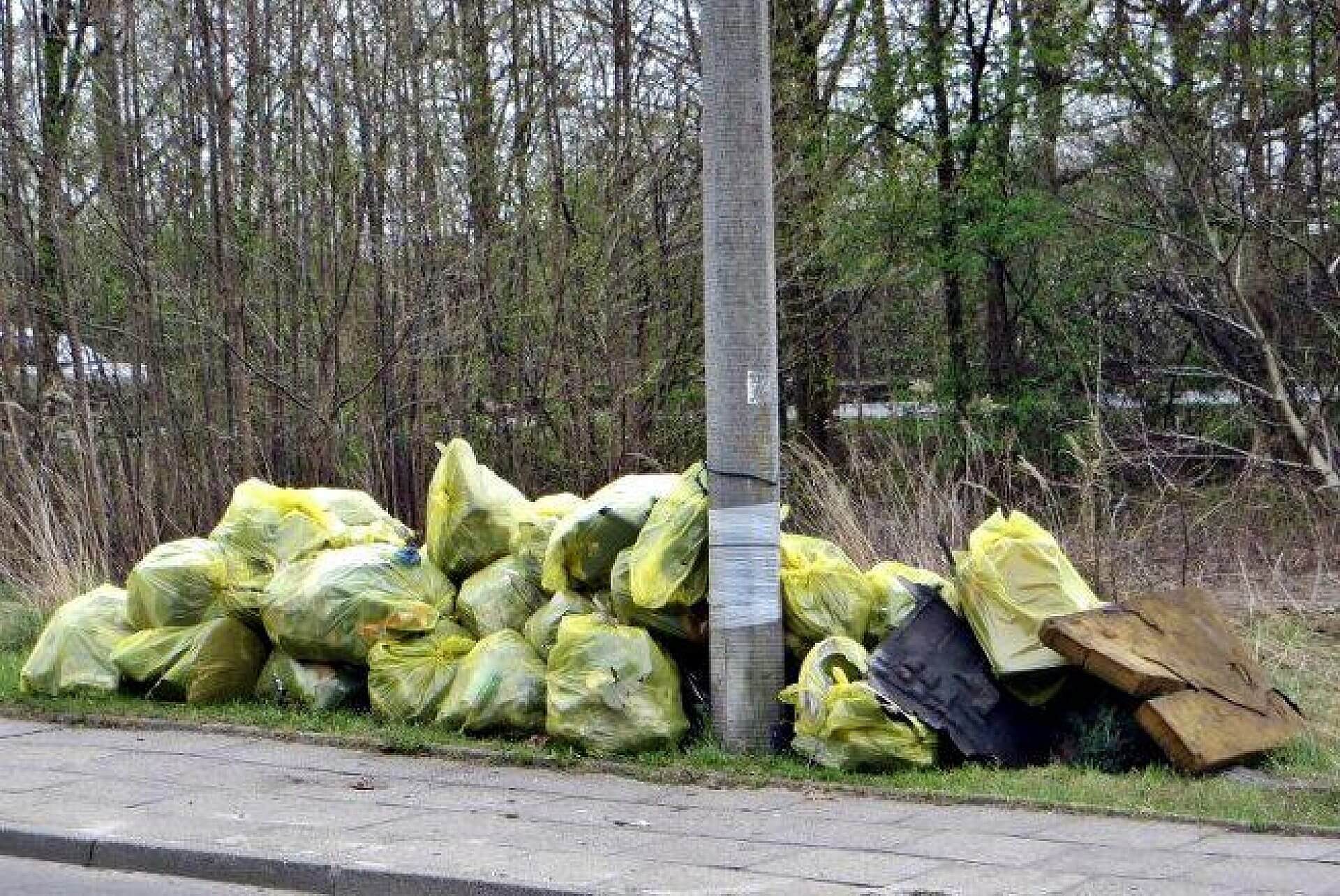 Sprzatanie smieci Sprzatanie smieci