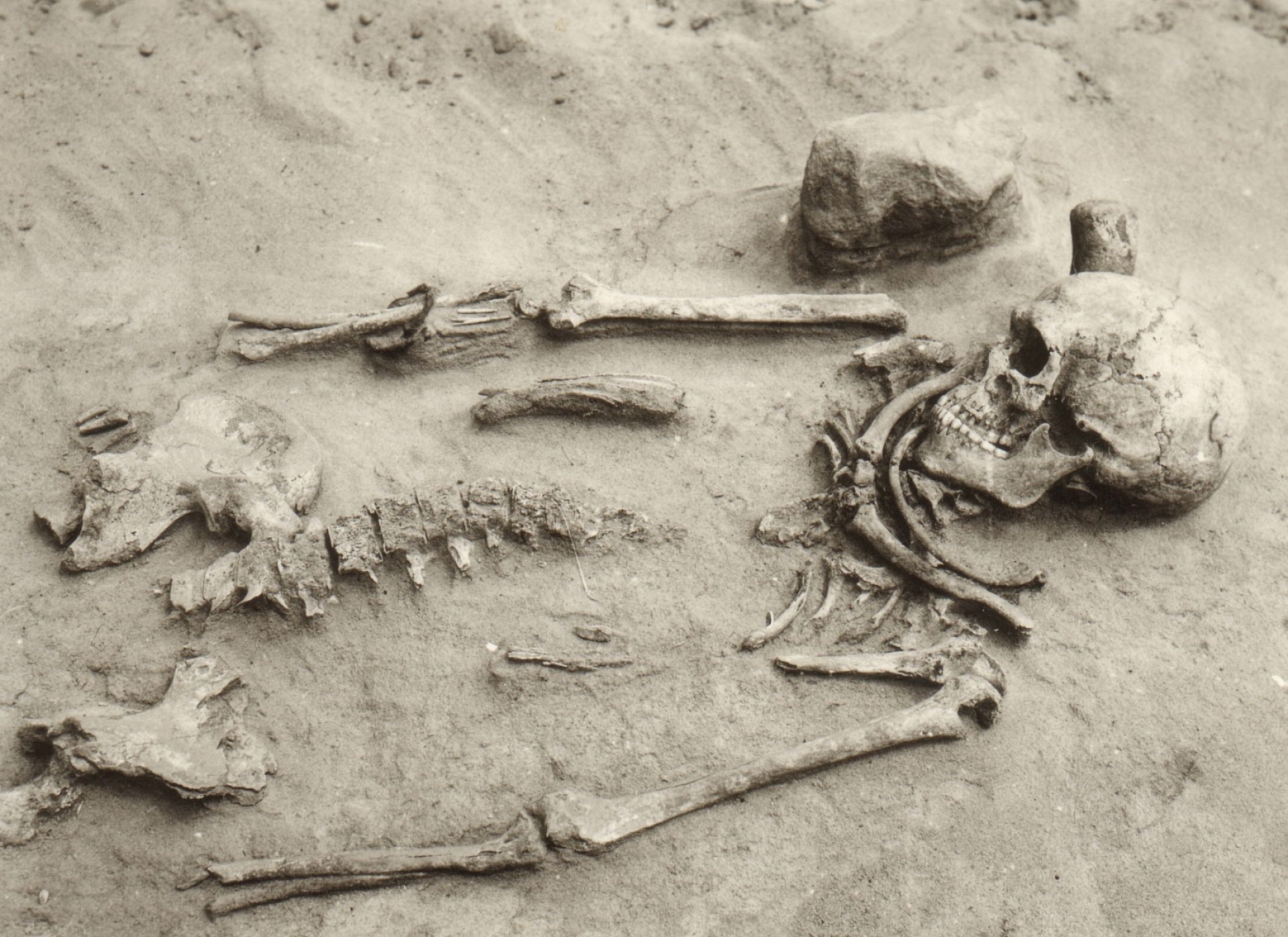 8305fb8f2ea5b7f85aaac2dc3f7e75b1 8305fb8f2ea5b7f85aaac2dc3f7e75b1