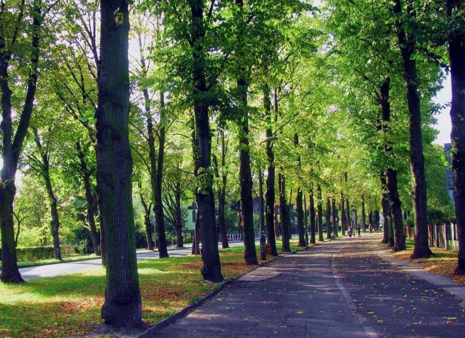 B7bf3486982e4cc43532e60a741155a7 B7bf3486982e4cc43532e60a741155a7