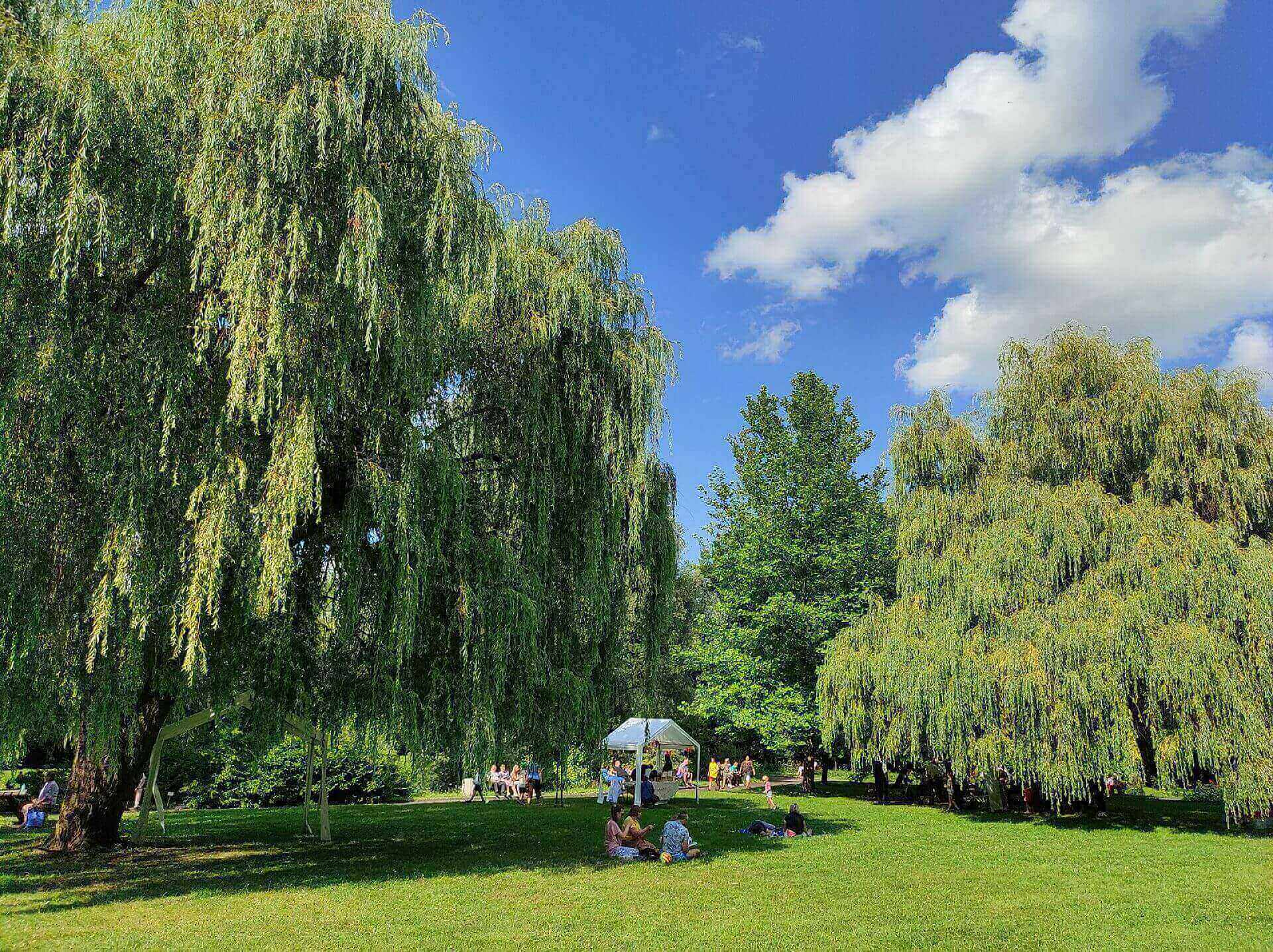 Koncert w Miejskim Ogrodzie Botanicznym w Zabrzu Koncert w Miejskim Ogrodzie Botanicznym w Zabrzu