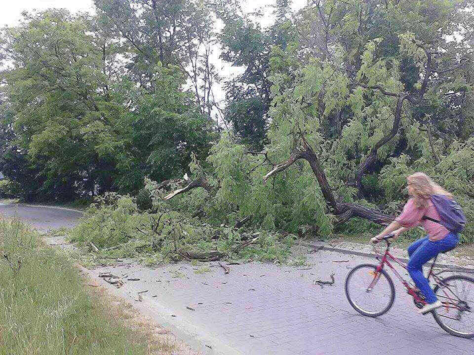 Wincentego Pola Wincentego Pola