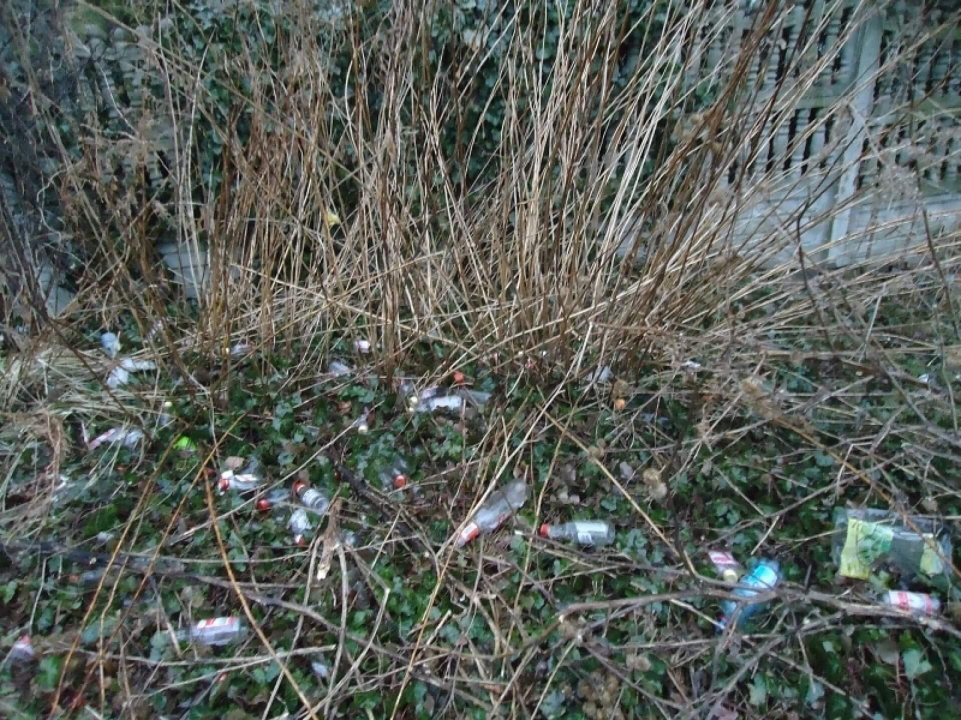 C656ba03f52a5357cbe6c17dbf6cb0a8 C656ba03f52a5357cbe6c17dbf6cb0a8