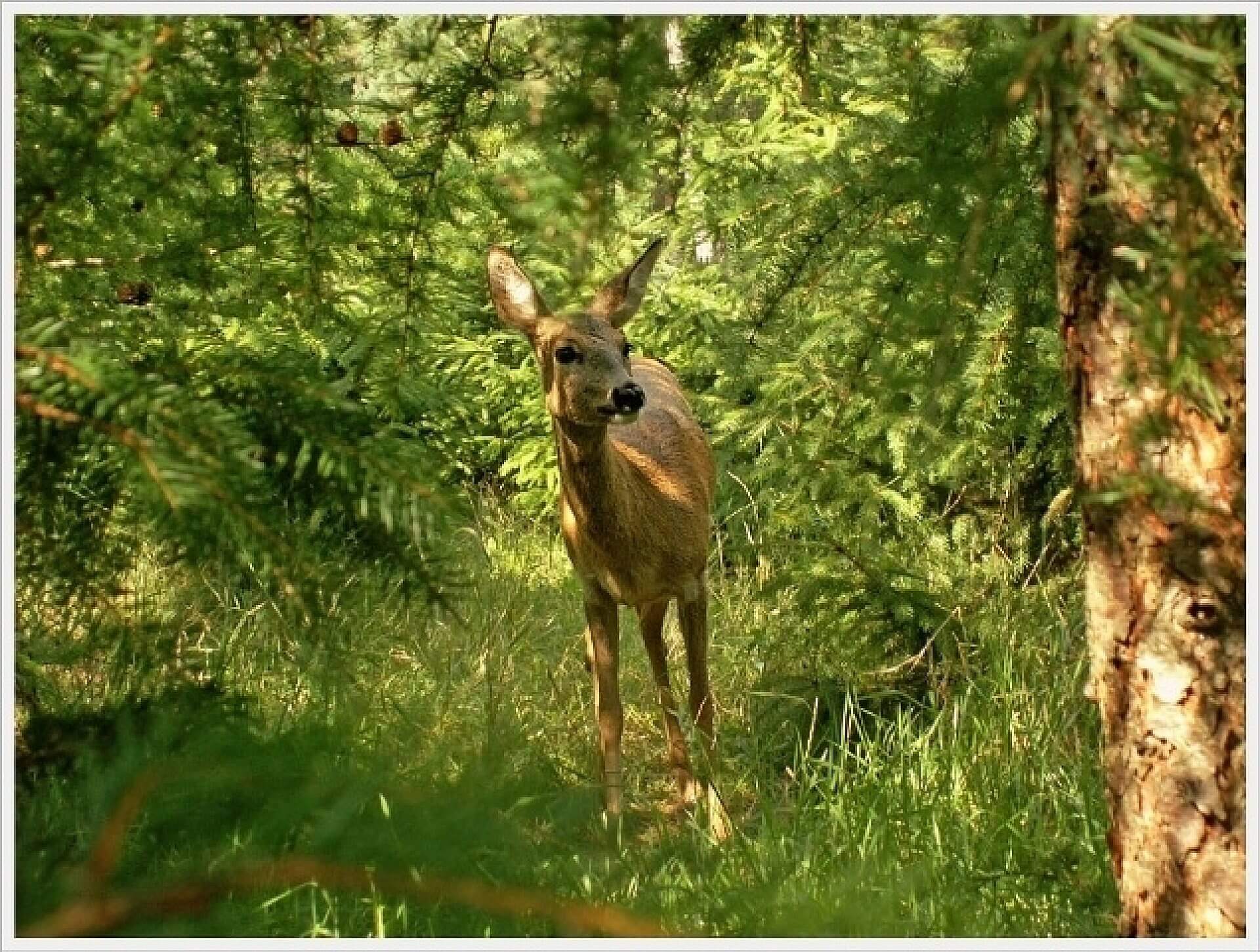 9f6c793be68976ad3d2cdf9886f5d219 9f6c793be68976ad3d2cdf9886f5d219