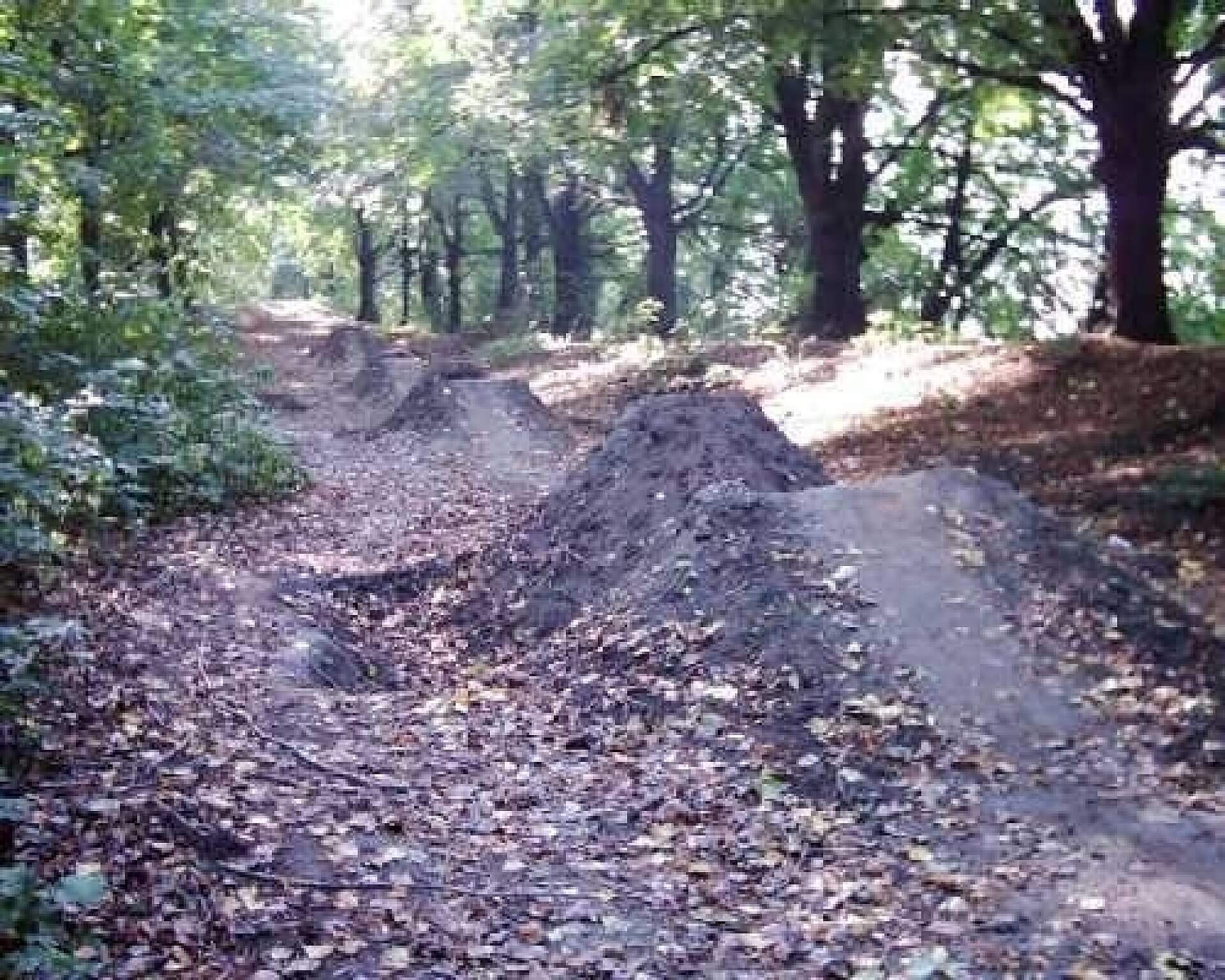 148bf6a78b98601704d4f14fd5fd8d34 148bf6a78b98601704d4f14fd5fd8d34