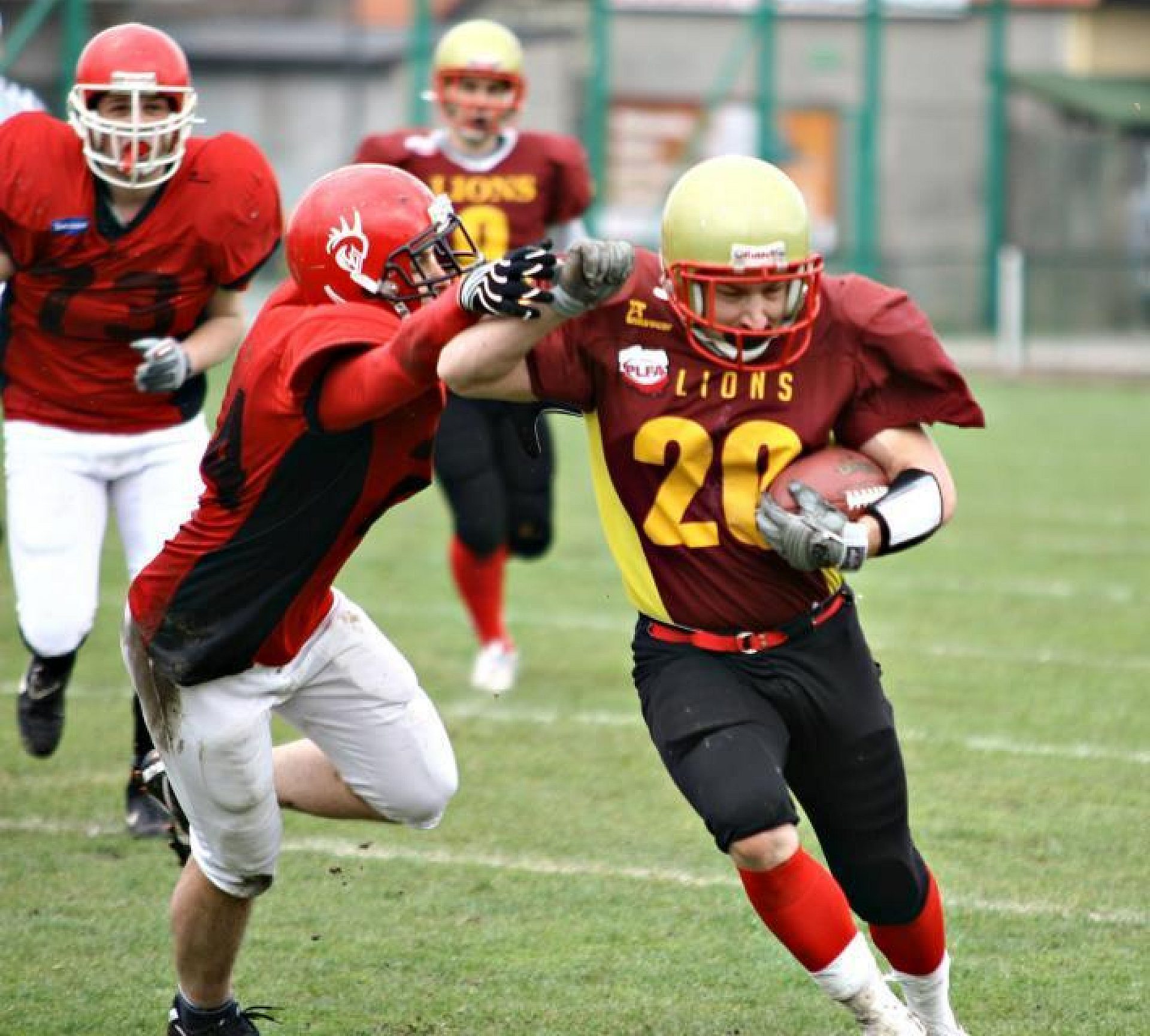 Lions knights Lions knights