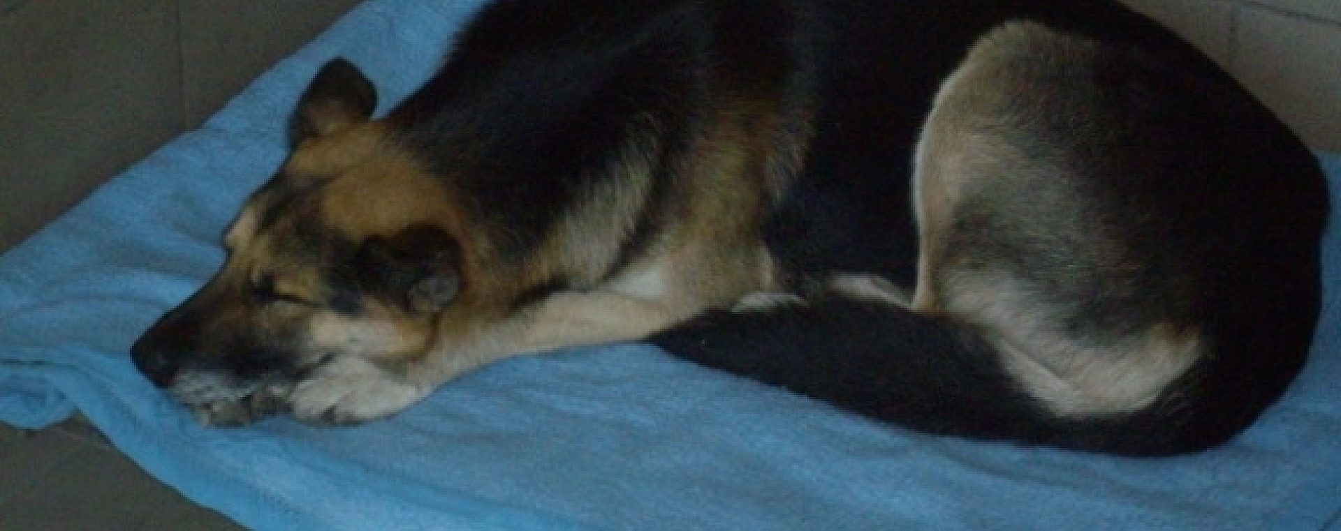 4bf14caa10fe139ac24ea05b35b7b8f6 4bf14caa10fe139ac24ea05b35b7b8f6