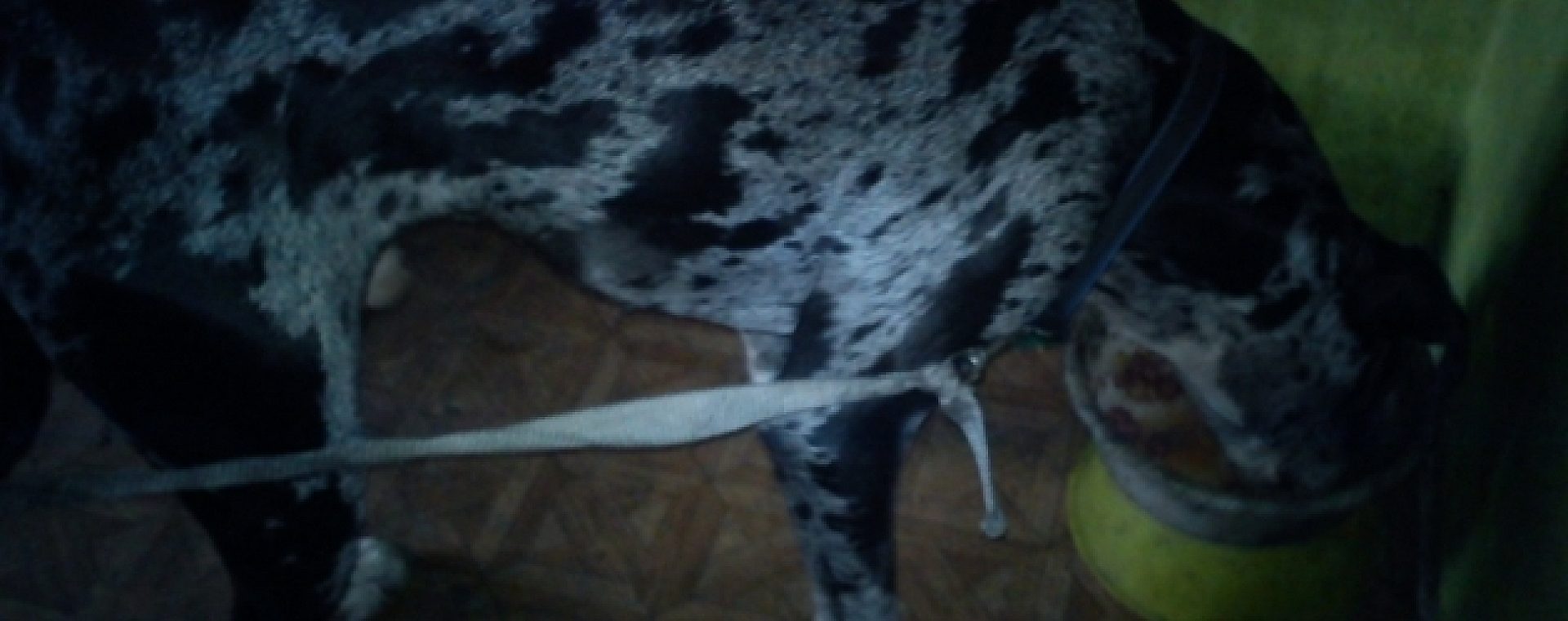 D621c3daa5d1edef10da0c9c846dc4f7 D621c3daa5d1edef10da0c9c846dc4f7