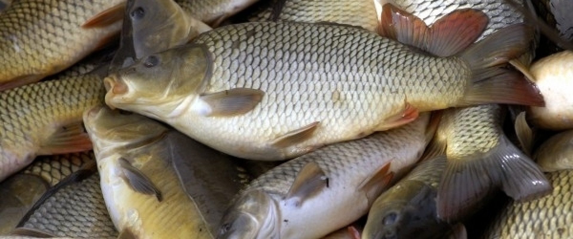 7e961fbbb45d09b8870e217b2b71c71b 7e961fbbb45d09b8870e217b2b71c71b