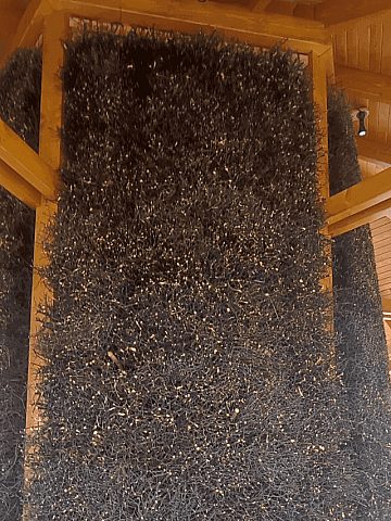 Tężnia solankowa w Zabrzu Tężnia solankowa w Zabrzu