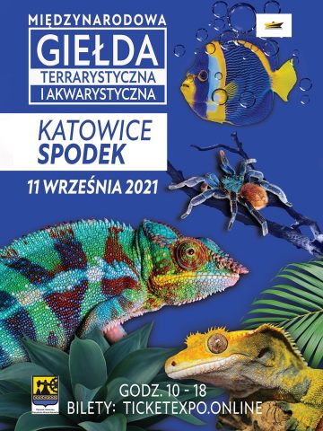 Giełda Terrarystyczna Giełda Terrarystyczna
