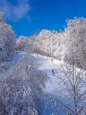 Stok narciarski Magura Małastowska foto 02 Natalia Pacana Roman Stok narciarski Magura Małastowska foto 02 Natalia Pacana Roman