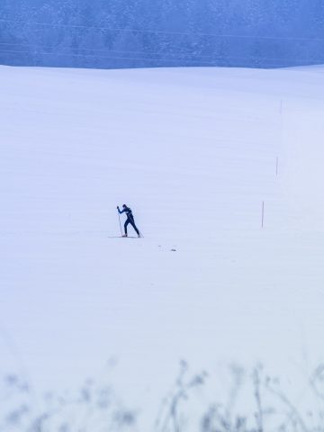 Śnieżne trasy przez lasy foto Natalia Pacana Roman Śnieżne trasy przez lasy foto Natalia Pacana Roman