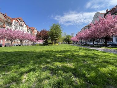 Pozdrowienia z Bytomia. Tak na wiosnę wygląda miasto upadłe Plac Słowiański