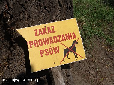 Pies w mieście. Właścicielu pamiętaj o swoich obowiązkach Zrzut ekranu 2012 06 19 o 10 13 38