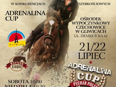 Weekend z adrenaliną? Tylko w Gliwicach! 8d047b09516955b0b5949fbe060277c1