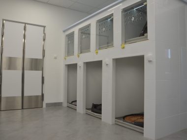 Zabrze gabinet kardiologiczny dla zwierząt