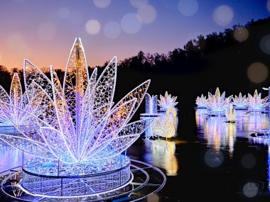 Park Miliona Świateł Park Miliona Świateł