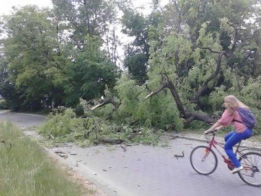 Nocna wichura na Śląsku. Drzewo runęło na tory Wincentego Pola