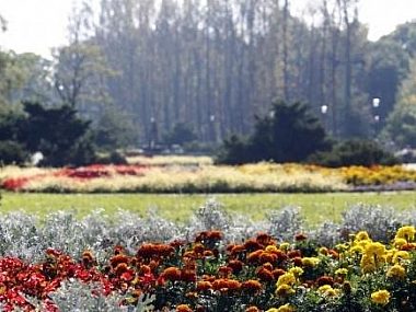 Wycieczki z Gliwic już za 5 złotych D8d82c266eb7fddde33926f5670b34b7