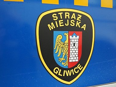 Statystyki straży. Podjęli ponad 34 tys. interwencji Ede36c0c0668adb972e7a4fd9edd6ad1