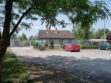 Nie musisz kupować psa, możesz go zaadoptować! F953292594c3d826ba9a7d78ef4123dd