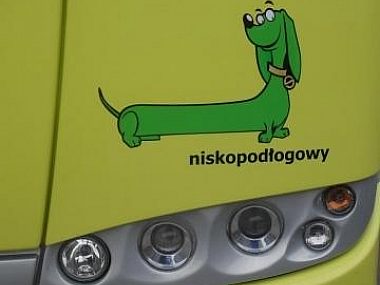 Nowe ”jamniki” na gliwickich drogach Jamnik