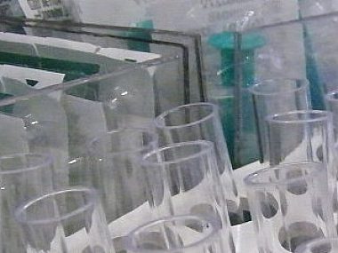 Gliwicki projekt najlepszy, programiści podbijają świat! Lab