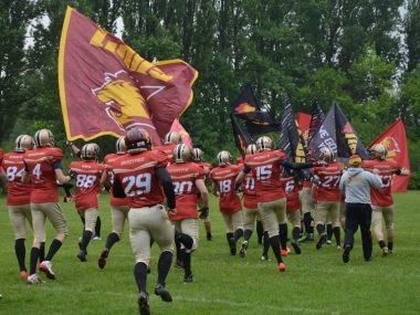 Lions Lions