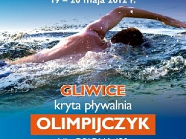 Wielomecz Pływacki Polska - Czechy - Słowacja Mzuk plakat mecz dwg