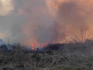 Pożar traw w Zabrzu Pożar traw w Zabrzu