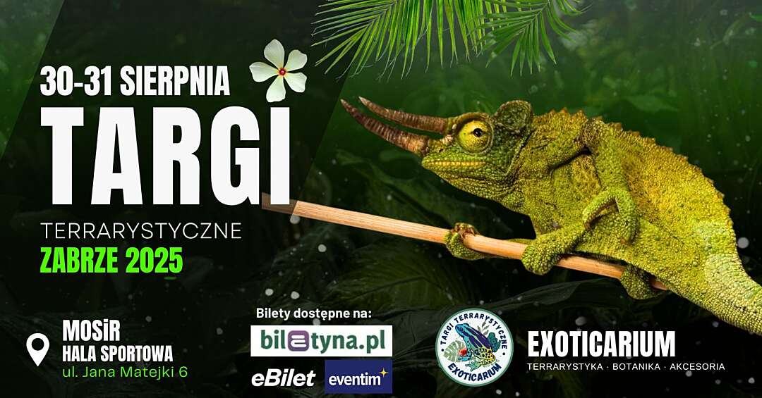 Egzotyczne zwierzęta w Zabrzu – wielkie targi terrarystyczne