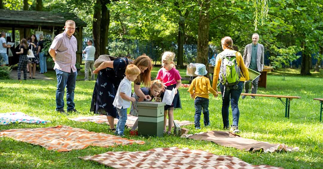 Wielki Dzień Pszczół 2025. Takie atrakcje czekają w Miejskim Ogrodzie Botanicznym