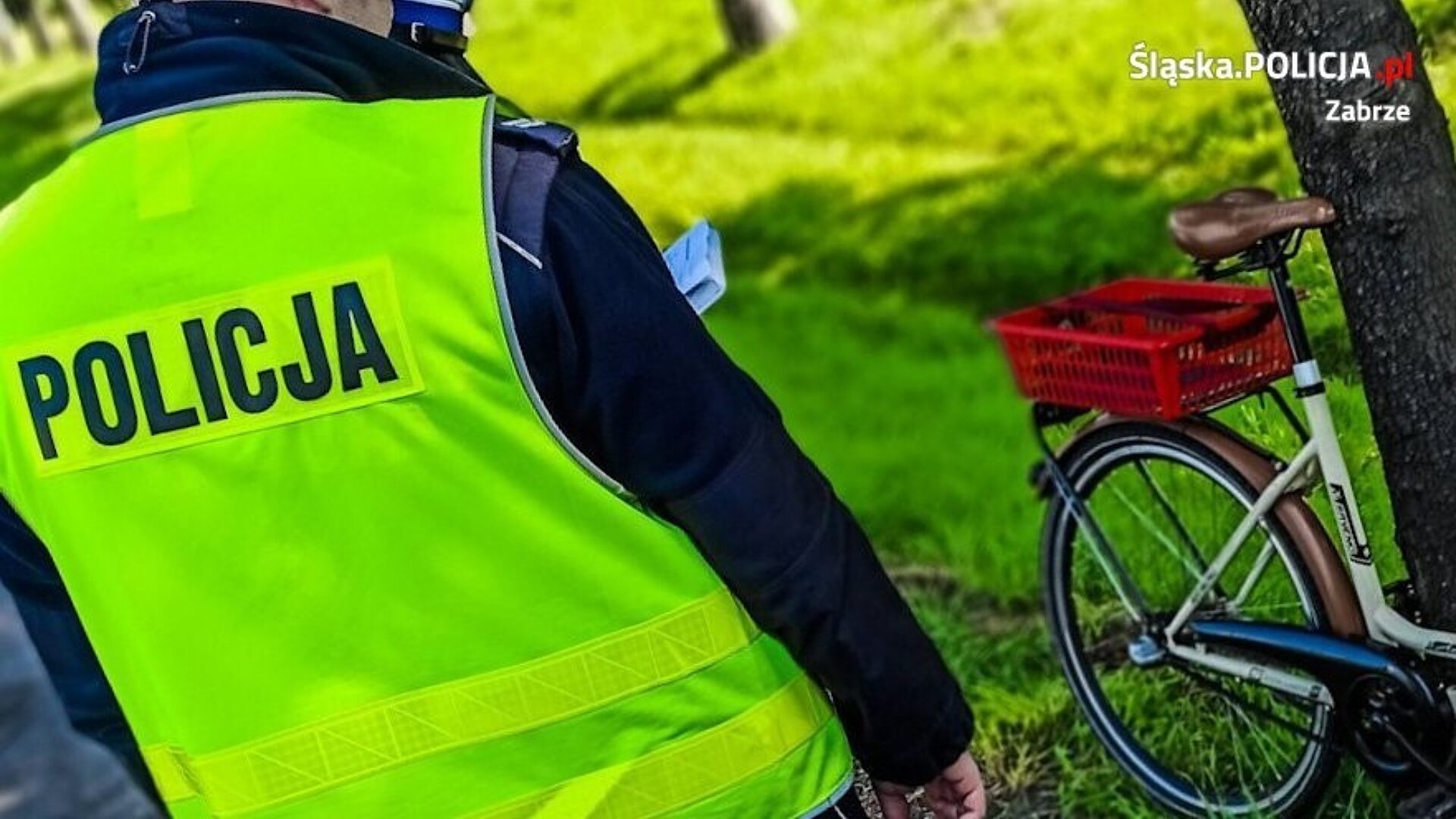 Pijany rowerzysta zabrze prof Pijany rowerzysta zabrze prof