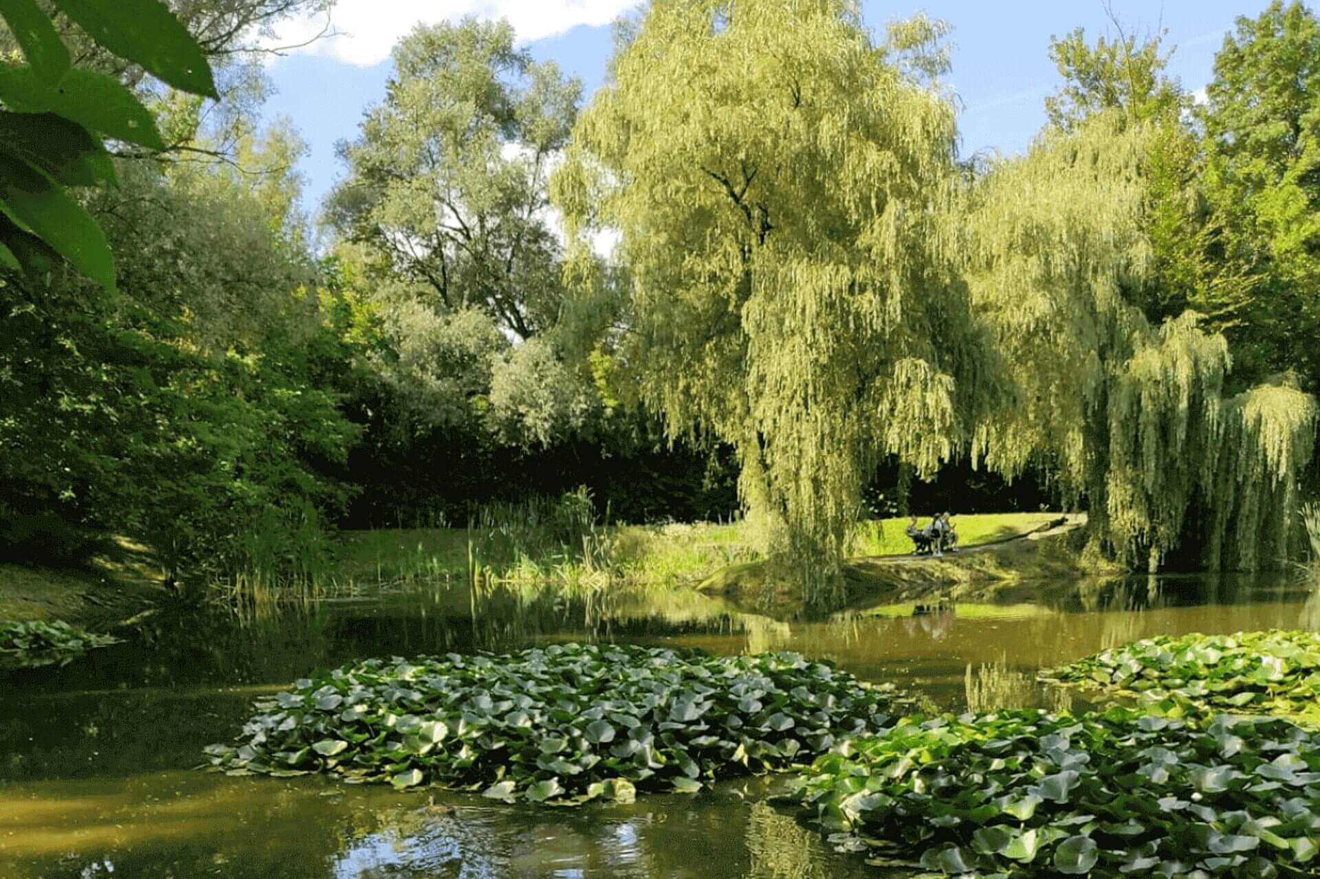 Zabrze ogrod botaniczny Zabrze ogrod botaniczny
