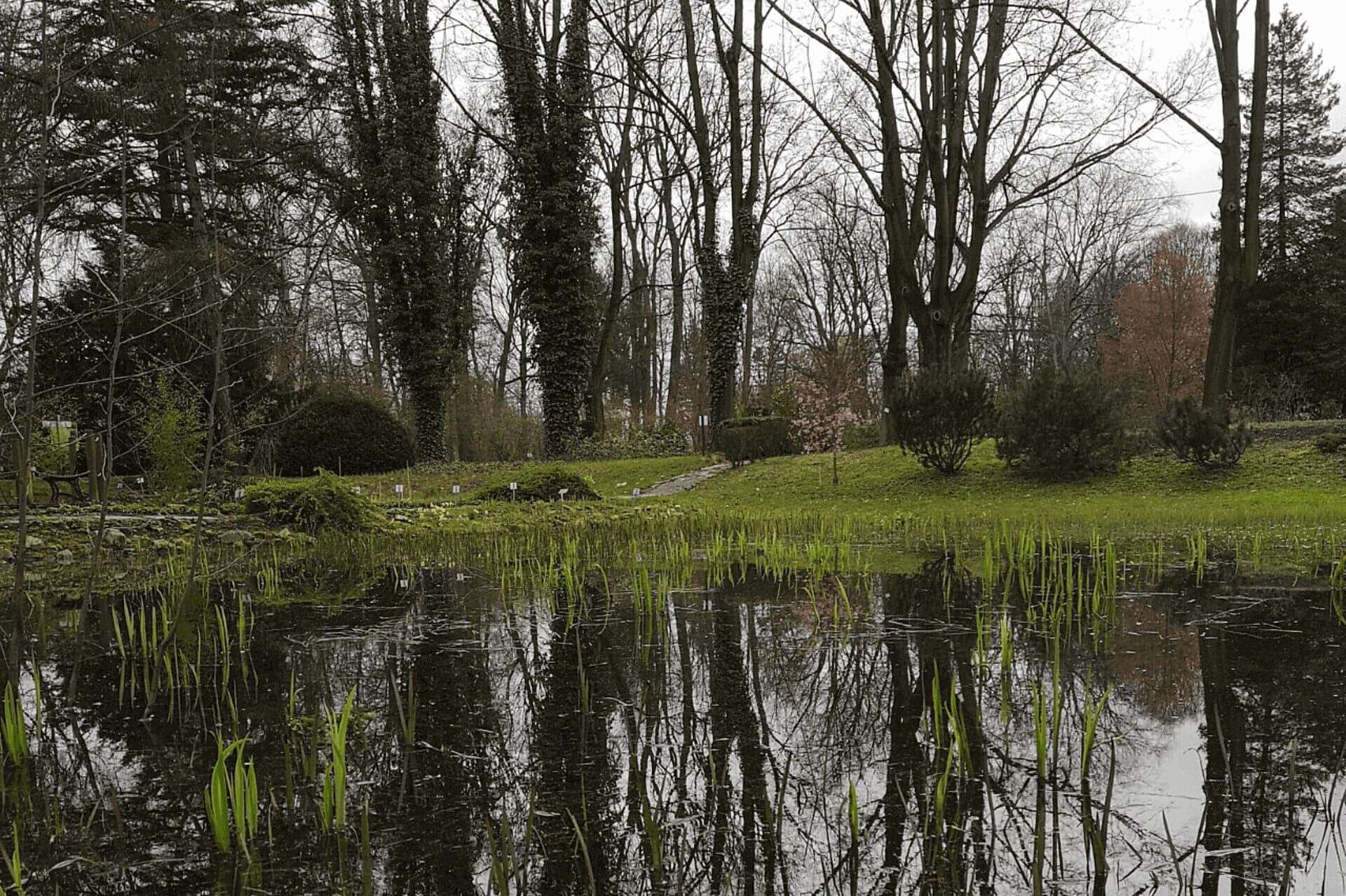 Zabrze ogrod botaniczny Zabrze ogrod botaniczny