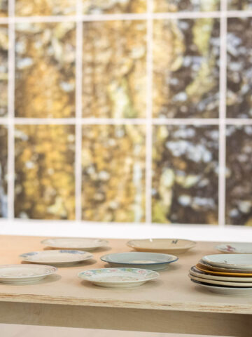 04 fot michal jedrzejowski 04 fot michal jedrzejowski