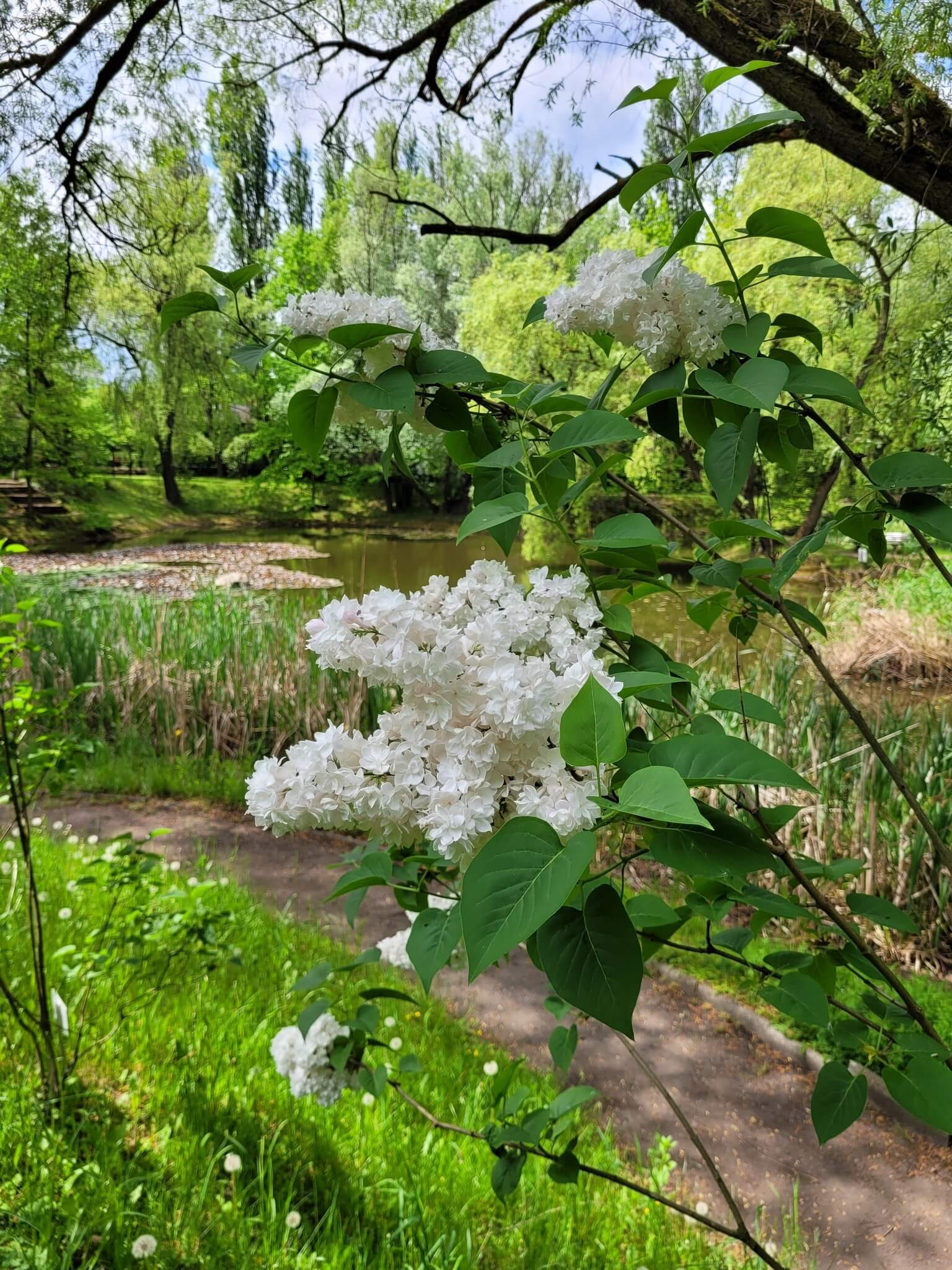 Miejski Ogród Botaniczny w Zabrzu