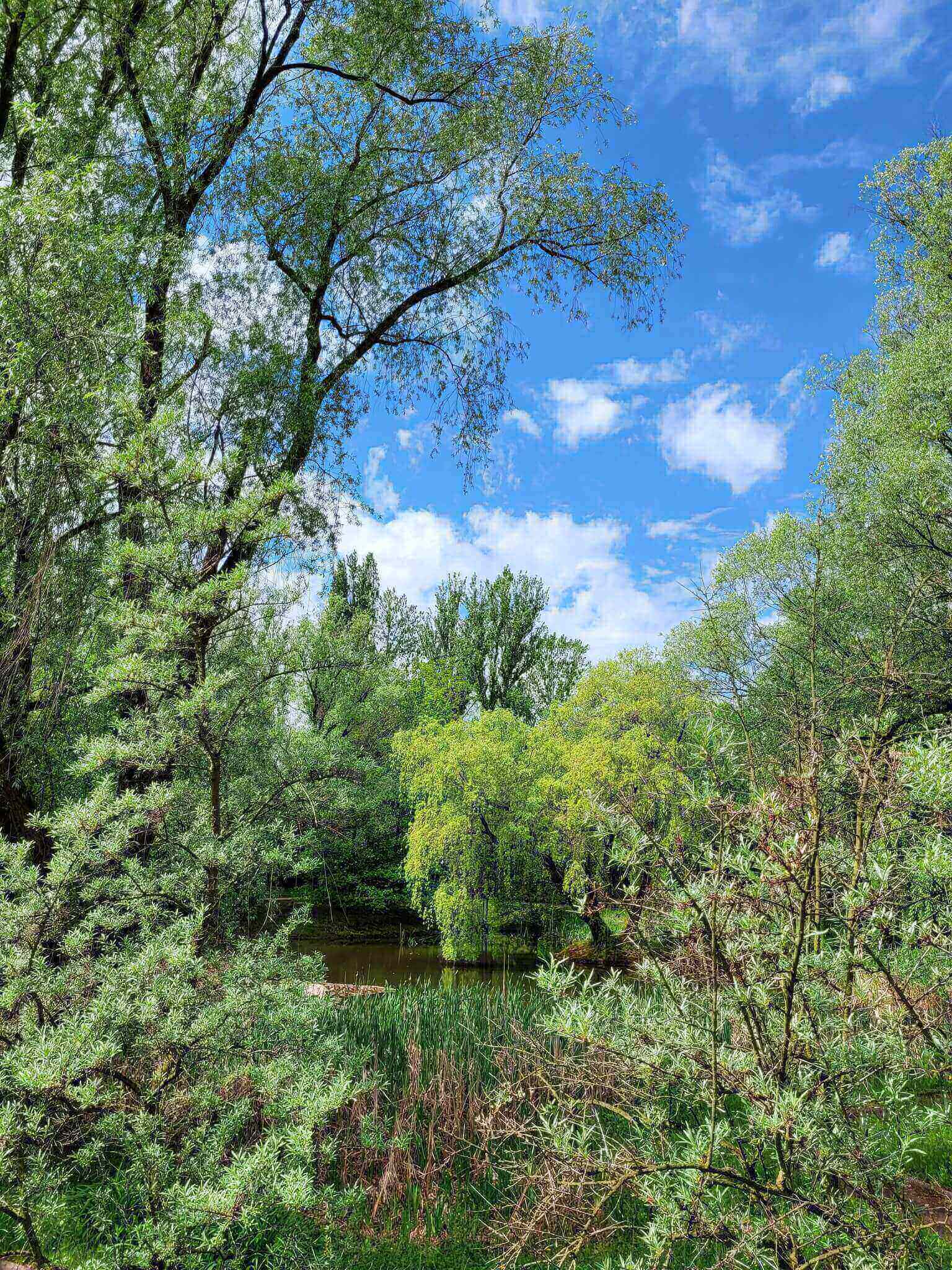 Miejski Ogród Botaniczny w Zabrzu